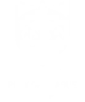 Southampton Football Play On League