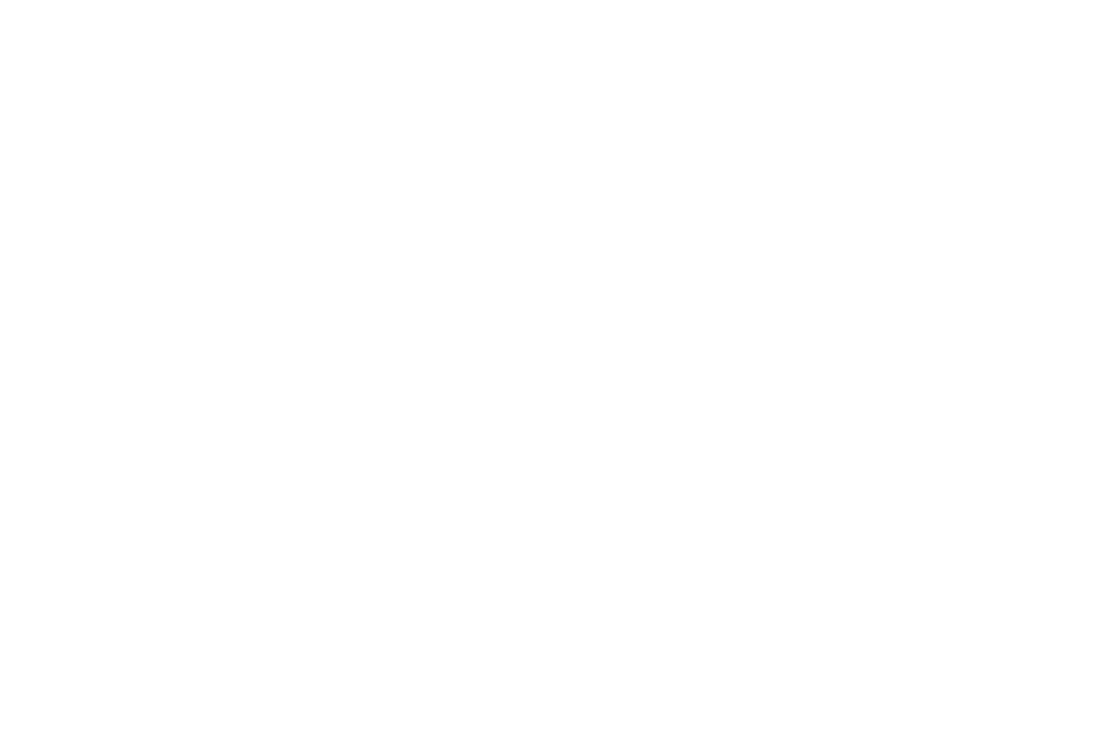 WP Group white logo